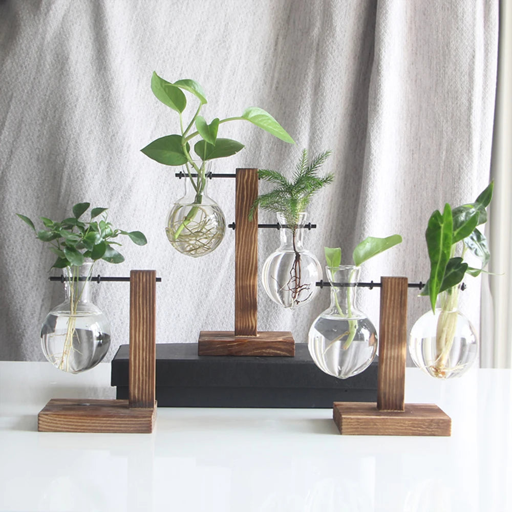 Creative Glass Desktop Planter Bulb Vase