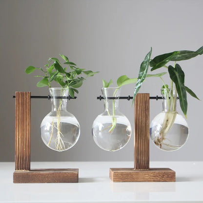 Creative Glass Desktop Planter Bulb Vase